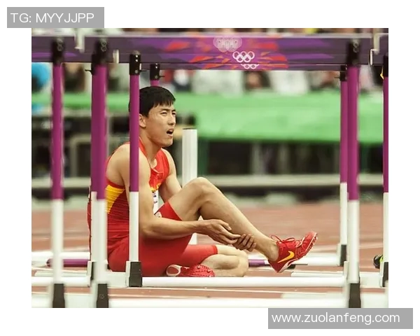 刘翔在挫折中展现心灵成长与不屈不挠的勇气之路