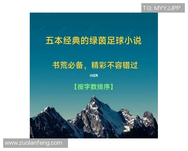 足球明星与综艺碰撞的精彩小说推荐让你领略不同的足球世界 足球明星与综艺碰撞的精彩小说推荐让你领略不同的足球世界