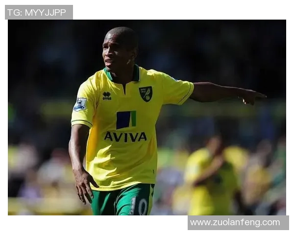 加拿大男足球明星的辉煌成就与影响力探讨