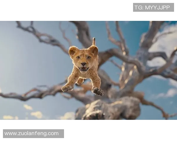 黄金矿工足球明星的辉煌历程与传奇故事揭秘