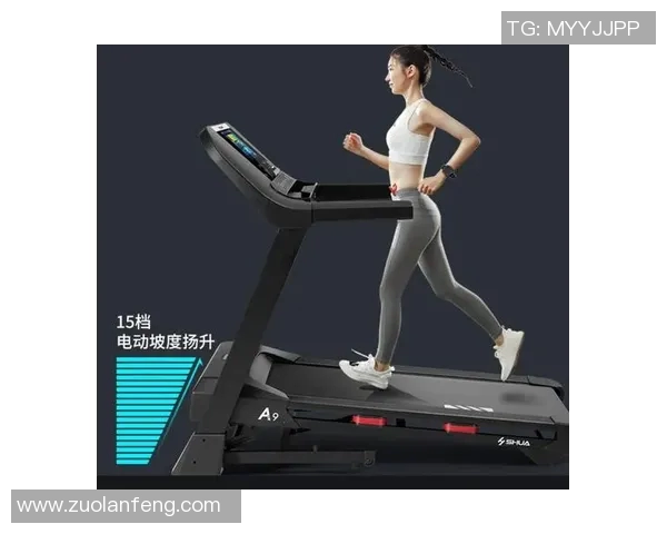 室内健身器材种类详解让你轻松选择适合自己的健身设备
