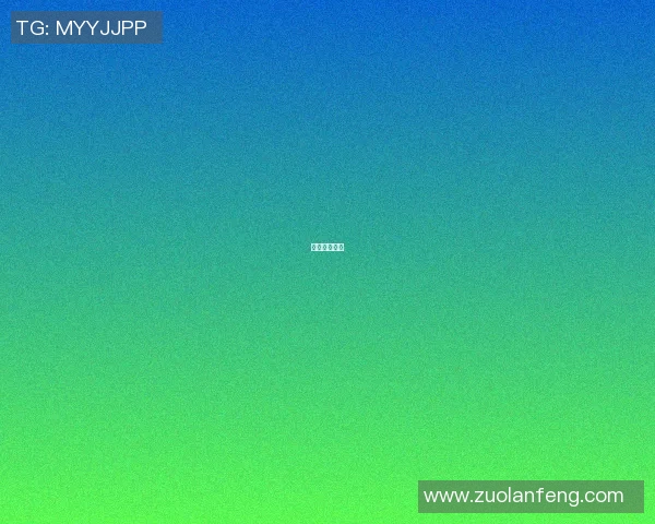 探索篮球明星 探索篮球明星